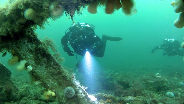 Diver diving the Lady Isabella shipwreck in the Clyde
